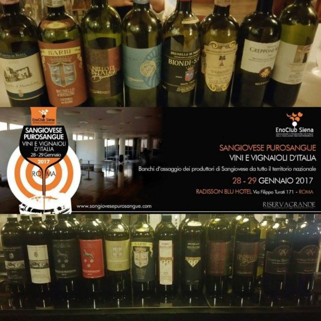 16266071_2063399133886833_2834178590019369602_n