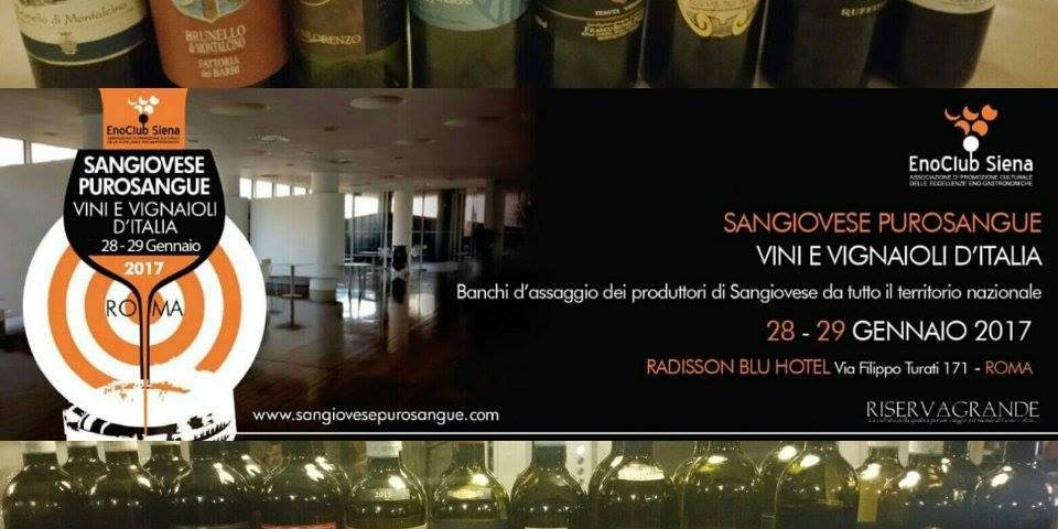 16266071_2063399133886833_2834178590019369602_n