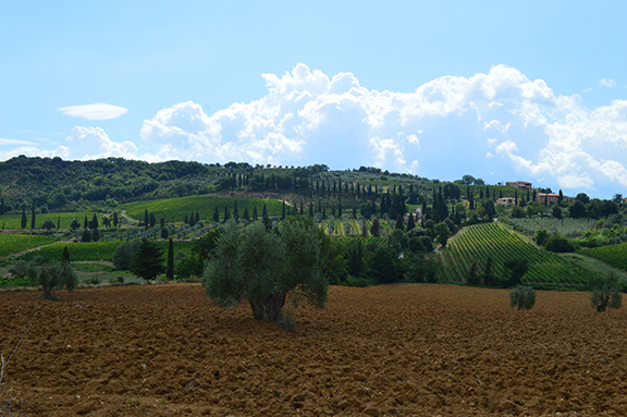 Montalcino