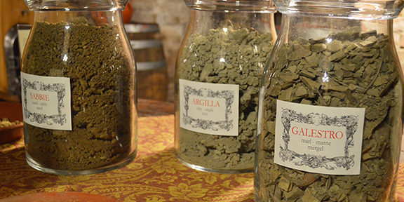 Montalcino | Tipi di suolo