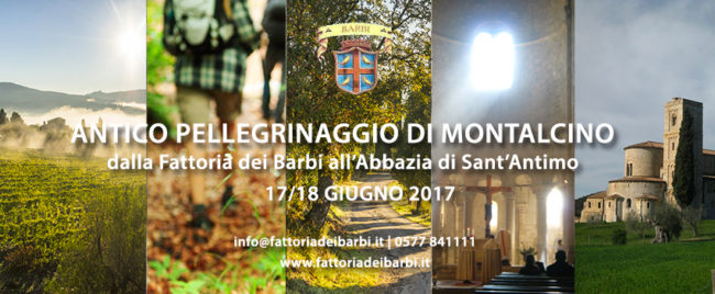 Antico Pellegrinaggio di Montalcino: dalla Fattoria dei Barbi a Sant’Antimo