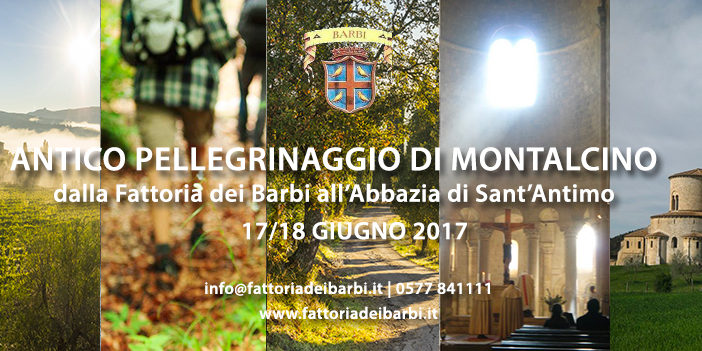 Antico Pellegrinaggio di Montalcino: dalla Fattoria dei Barbi a Sant’Antimo