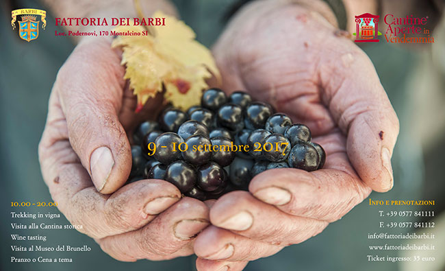 Cantine aperte in Vendemmia alla Fattoria dei Barbi