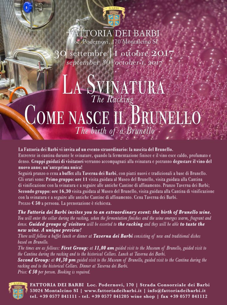 La Svinatura alla Fattoria dei Barbi. Come nasce il Brunello