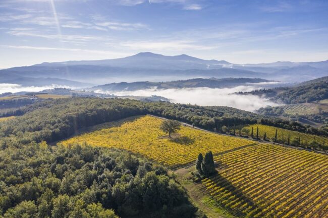 Fattoria dei Barbi | Montalcino