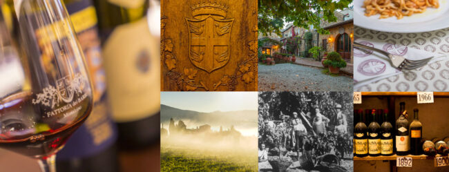 101919373_2965295247030546_3341643169430241280_o