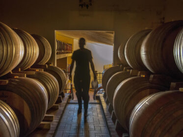 Fattoria dei Barbi (18) Fattoria dei Barbi (18)