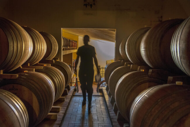 Fattoria dei Barbi (18)