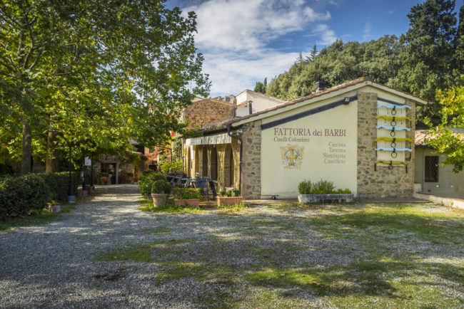 Fattoria dei Barbi (20)