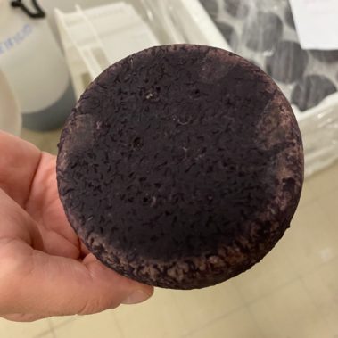 Caseificio dei Barbi