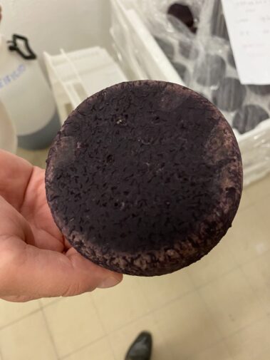 Caseificio dei Barbi