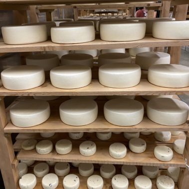 Caseificio dei Barbi