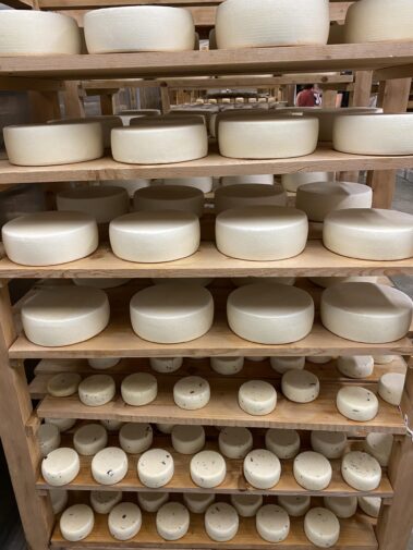 Caseificio dei Barbi