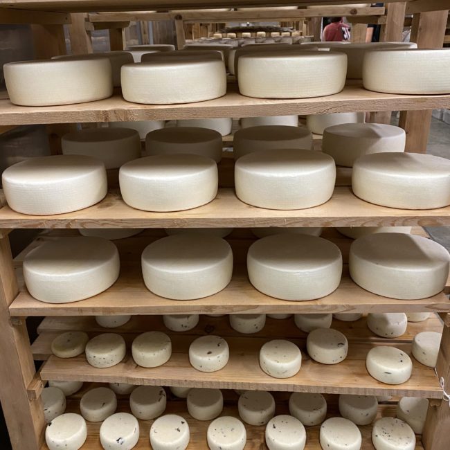 Caseificio dei Barbi