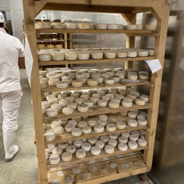 Caseificio dei Barbi