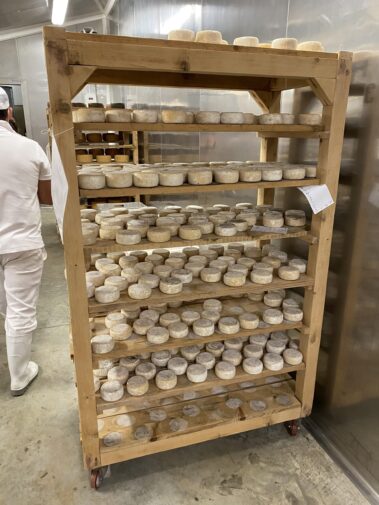 Caseificio dei Barbi