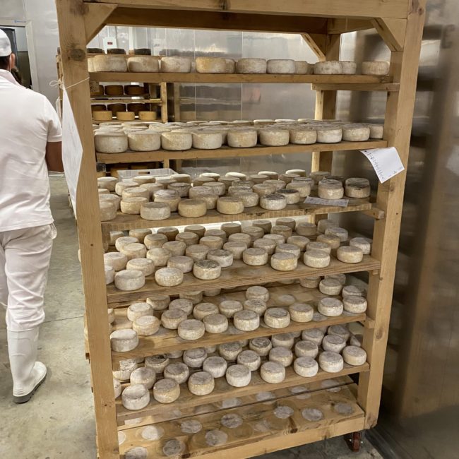 Caseificio dei Barbi