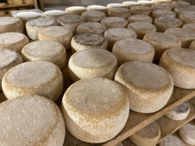 Caseificio dei Barbi