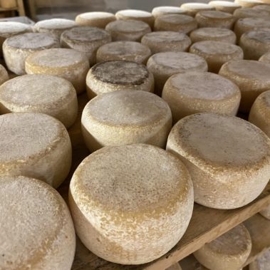 Caseificio dei Barbi