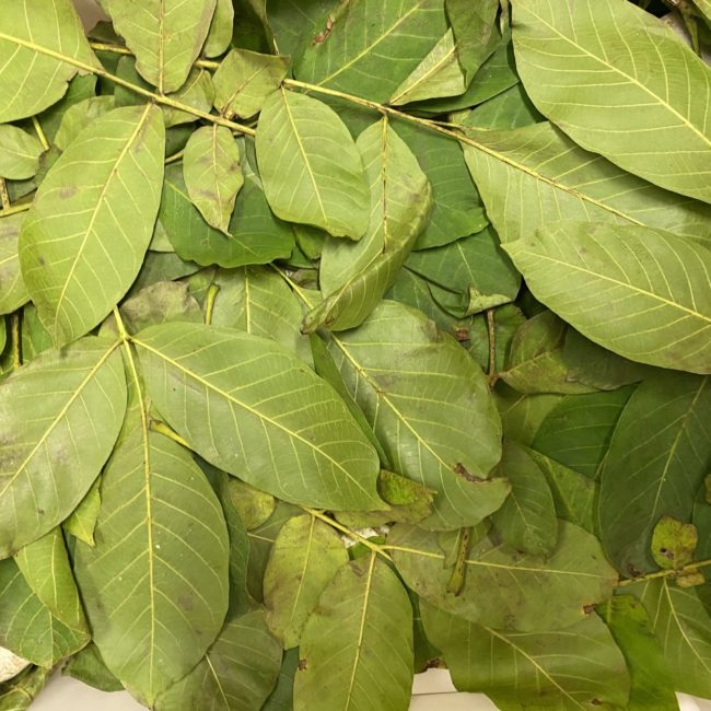 Caseificio dei Barbi