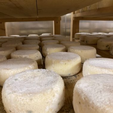 Caseificio dei Barbi