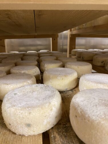 Caseificio dei Barbi