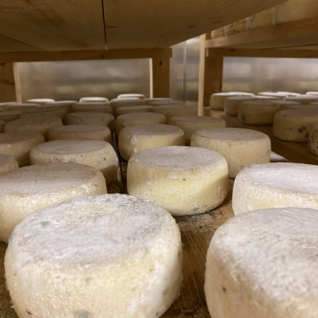 Caseificio dei Barbi