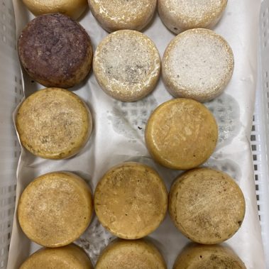 Caseificio dei Barbi