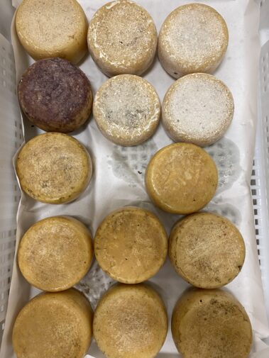 Caseificio dei Barbi