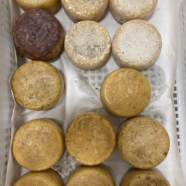 Caseificio dei Barbi