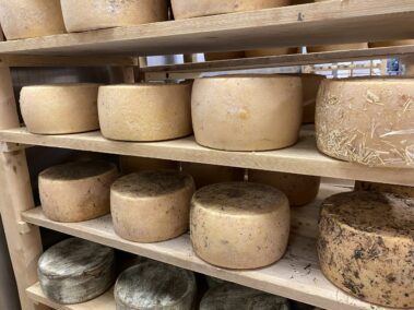 Caseificio dei Barbi