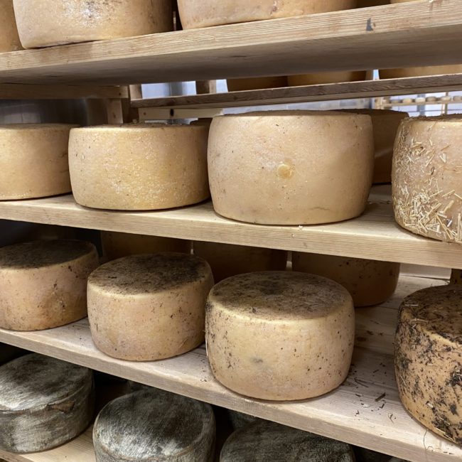 Caseificio dei Barbi