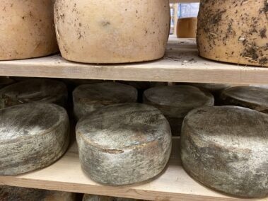 Caseificio dei Barbi