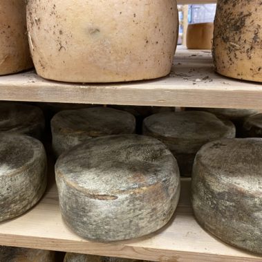 Caseificio dei Barbi