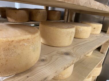 Caseificio dei Barbi