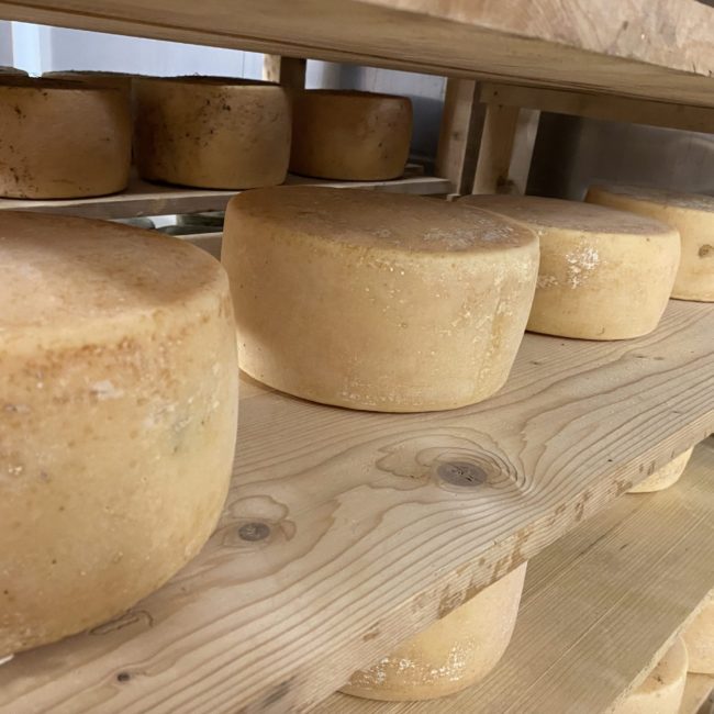 Caseificio dei Barbi