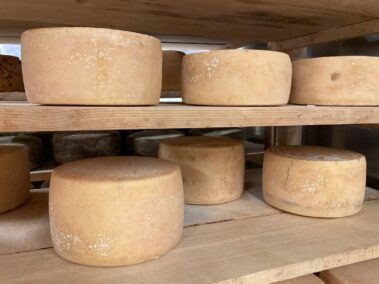 Caseificio dei Barbi