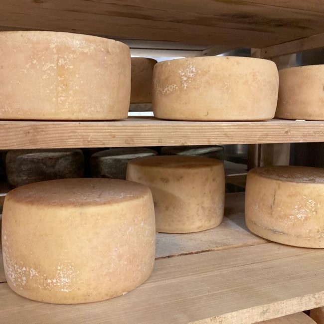 Caseificio dei Barbi