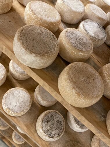 Caseificio dei Barbi 