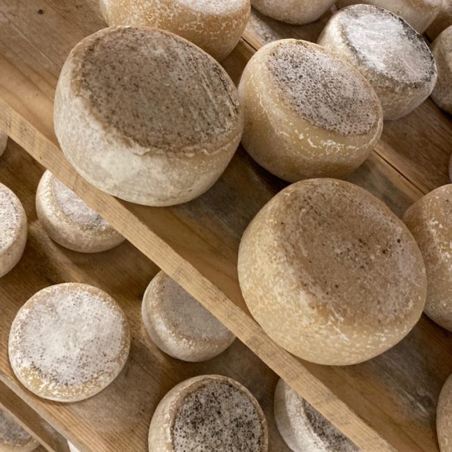 Caseificio dei Barbi 