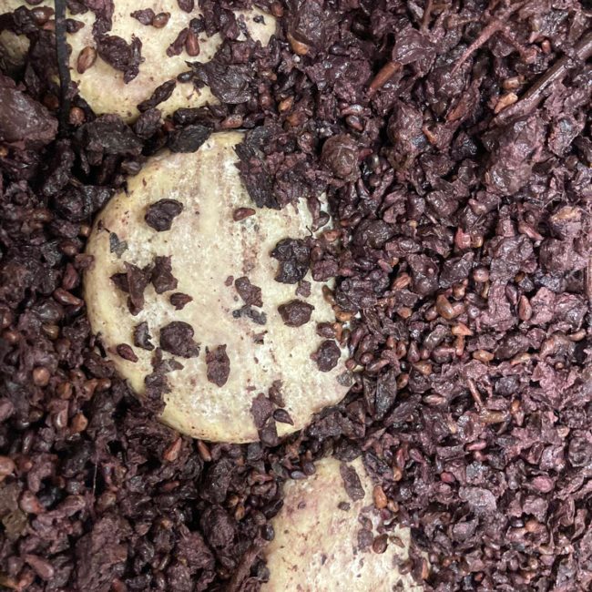 Caseificio dei Barbi