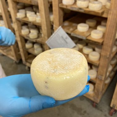 Caseificio dei Barbi