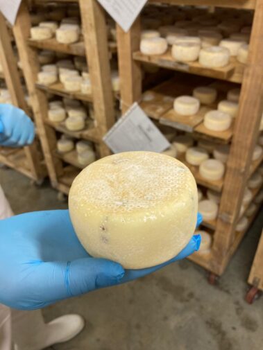 Caseificio dei Barbi