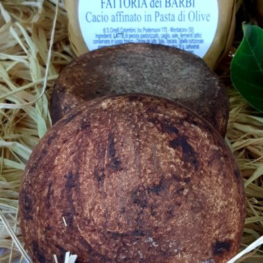 Caseificio dei Barbi | Cacio affinato in Pasta d'Olive