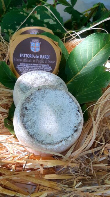 Caseificio dei Barbi | Cacio affinato in Foglie di Noce