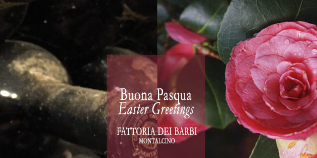 Buona Pasqua dalla Fattoria dei Barbi