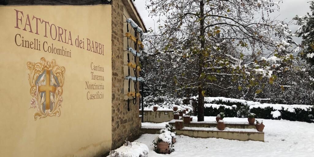 WhatsApp Image 2023-12-12 at 20.44.37 Buone Feste dalla Fattoria dei Barbi | Happy Holidays from Fattoria dei Barbi