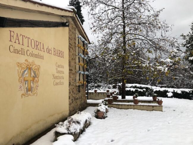 Buone Feste dalla Fattoria dei Barbi | Happy Holidays from Fattoria dei Barbi