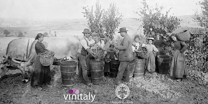 2024vinitalyfdb2-min7